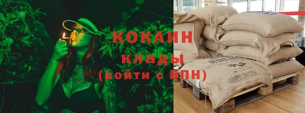 дмт Алексин