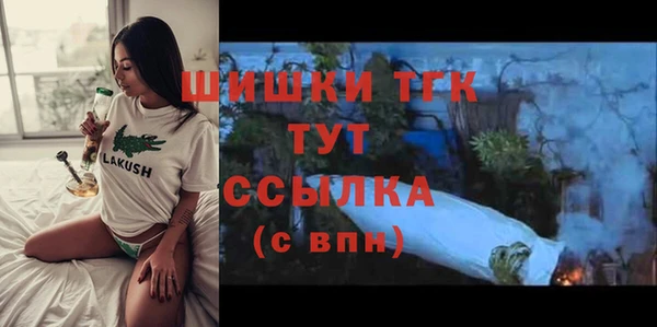 дмт Алексин