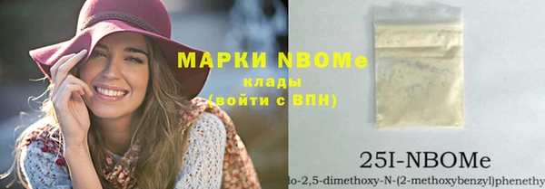 apvp Каменка