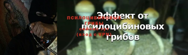 спиды Абинск