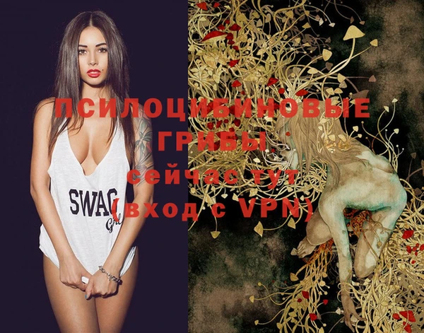 MDMA Алексеевка