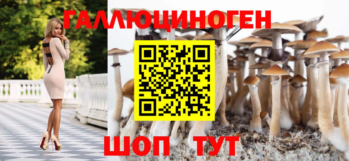 Галлюциногенные грибы Cubensis  Галлюциногенные грибы GOLDEN TEACHER  Магнитогорск  Вход с VPN 
