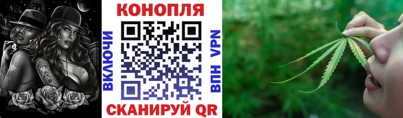 Конопля индика  Магнитогорск 